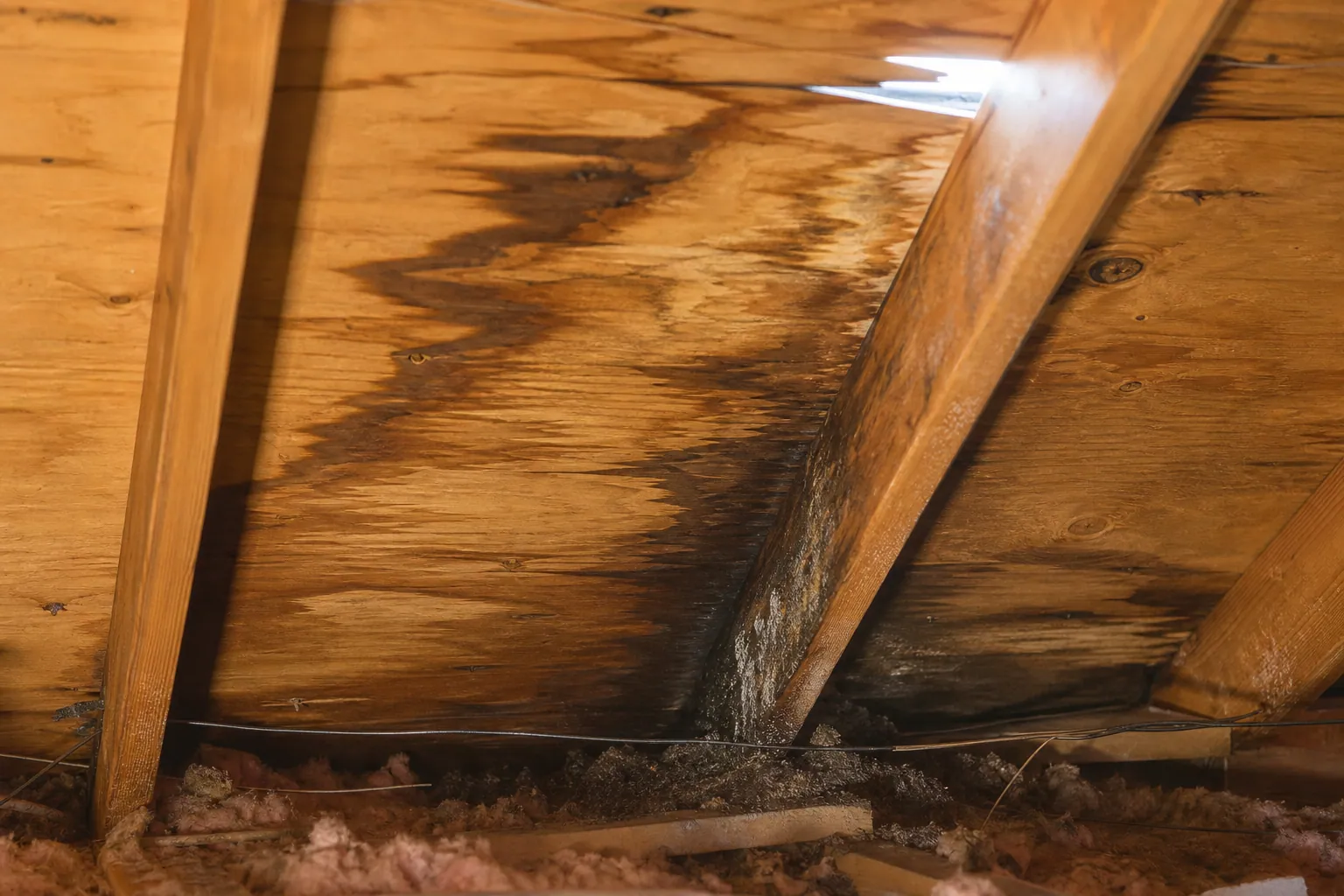Water-stained attic roof decking showing hidden leak damage